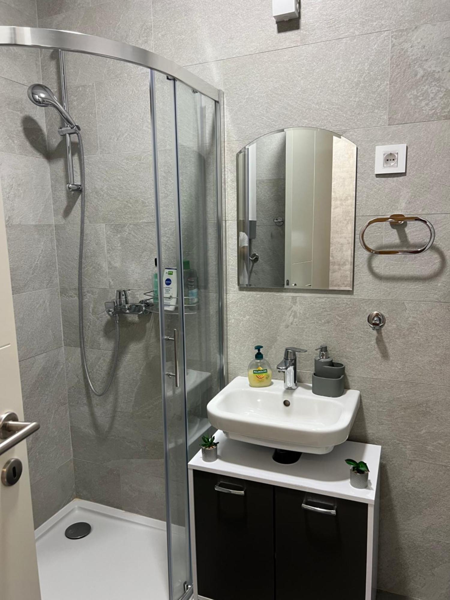 Helena Apartment Novi Sad Extérieur photo